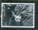 Great Britain 2001 1st Cat In Handbag Issue #1956 - Zonder Classificatie