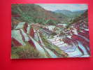 CPM-ASIE-PHILIPPINES-8 TH WONDER OF THE WORLD THE RICE TERRACES OF THE PHILIPPINES -PHOTO  RECTO / VERSO -NON VOYAGEE - Philippinen