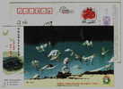 Egret Bird Inhabit,China 2009 Lishui City Loving Heart Help Schooling Advertising Postal Stationery Card - Cigognes & échassiers