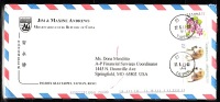 China Nice Missionary Usage Lot 378 - Postal Stationery