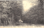 Cp , 89 , APPOIGNY , Les Gorges , Entrée , Voyagée 1904 - Appoigny