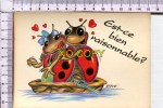 COCCINELLE  - BEETLES    -  Illustration  Humoristique -   Est Ce Bien Raisonnable ? - Insects