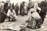 AFRIQUE DU NORD * Scènes & Types - Les Souks : Le Bouquiniste - Semi Moderne Petit Format - Métiers