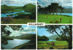 Ierland/Ireland/Éire, Killarney, 1989 - Kerry