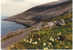 Ierland/Ireland/Éire, The Burren, 1993 - Clare