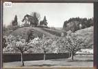 GRÖSSE 10x15 - LANGNAU - KURHAUS DORFBERG -  TB - Langnau Im Emmental