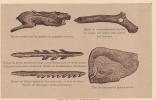 LOT 3 CPA . ARMES ET OUTILS PREHISTORIQUES - Histoire