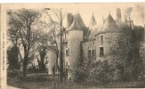 VOUNEUIL Sur VIENNE    Le Château Du Fou - Vouneuil Sur Vienne