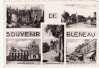 89 - BLENEAU - Multivues - Souvenirs De Bléneau -  Voir  Les 2 Scans - Bleneau