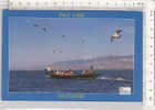 PO8541A# BIRMANIA - MYANMAR - INLE LAKE  VG - Myanmar (Burma)