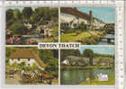 PO8554A# CORNWALL - DEVON THATCH - CARROZZA - CAVALLI  VG 1985 - Autres & Non Classés