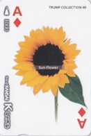 Carte Japon - FLEUR - TOURNESOL / Carte à Jouer - FLOWER Sunflower Japan Playing Card - Blume Spiel Karte - 857 - Games