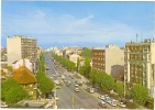 MONTROUGE   AVENUE ARISTIDE BRIAND - Montrouge