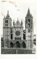 Espagne - Spain - Espana - Castilla Y Leon - Leon - Catedral - Carte Photo - Laboratorios Fotograficos Exacta - León