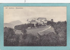 SOLOTHURN - (  SOLEURE )  -  Weissenstein  -  1911  -  TRES  BELLE CARTE    - - Soleure