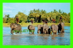 ELEPHANTS - TAKING A BATHS AFTER HARDWORK IN THE NORTH OF THAILAND - - Olifanten