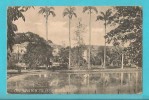 ANTILLE BARBADOS CODRINGTON COLLEGE CARTOLINA FORMATO PICCOLO VIAGGIATA NEL 1926 - Barbades