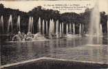 - 78 - VERSAILLES - Parc - Le Château - Le Bassin De Neptune Et Les Grandes Eaux  - - Versailles (Castillo)