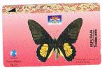 INDONESIA - TELKOM (TAMURA) -  FARFALLE: BUTTERFLY (TROIDES PLATO)         - USED  -  RIF. 1671 - Butterflies