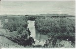 CPA - (64) Sauveterre De Béarn - Le Gave D'oloron De La Terrasse De L'hostellerie - Sauveterre De Bearn