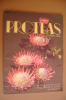 PAR/26 PROTEAS Nature´s Pride - Protea Colour Prints LTD South Africa/Proteacee/Erbario/botanica/Ill.di Derek Butcher - Giardinaggio