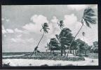 RB 741 - Early Postcard - The Beach - Sam Lord's Castle Barbados - Britsh West Indies - Barbados (Barbuda)