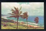 RB 741 - Early Postcard - Bathsheba Coast - Barbados - Britsh West Indies - Barbados