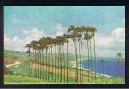 RB 741 - Early Postcard - Cabbage Palms - Barbados - Britsh West Indies - Barbados