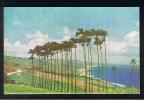 RB 741 - Early Postcard - Cabbage Palms - Barbados - Britsh West Indies - Barbados (Barbuda)