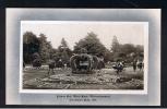 RB 741 - 1911 Postcard - Flower Bed - West Park Wolverhampton - Coronation Year - Staffordshire - Wolverhampton