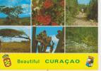 (CUR47) CURAÇAO. BEAUTIFUL - Curaçao