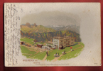 B010 Grand Hotel Des Rochers De Naye Avec Chèvres à Cou Noir. Litho.Précurseur  Cachet 1910. Frey 73 - Roche