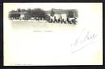 Delcampe - CPA  PRECURSEUR- ALGÉRIE- MOSTAGANEM- LA REMONTE AVEC BELLE ANIMATION DE CHEVAUX - Mostaganem