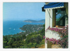 LE RAYOL - Vue Panoramique Prise De La Villa Saint Jean - Rayol-Canadel-sur-Mer