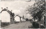 62 LIEVIN - Vue Sur La Cite Saint Pierre - Lievin