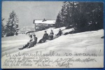 Schliersee,Rodeln Vom Schliersberg,1905,Schliersberg-Alm,Winter,Rodeln,Schlittenfahrt, - Schliersee