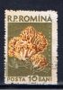 RO+ Rumänien 1958 Mi 1722 Pilz - Oblitérés