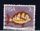 RSA+ Südafrika 1974 Mi 453 Fisch - Used Stamps