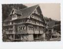 Haus Treib Vierwaldstättersee Gelaufen 1946 Beckenried - Wald