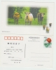 Chine. Carte Postale.Vache. - Kühe