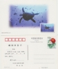 Chine. Carte Postale.Tortue Marine. - Schildkröten