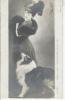 Cpa. Collie, Lassie, Colley, Sheltie & Femme. Chien, Hunde, Cani. Illustrateur. Jean Sala.Old Dog Postcard 1908 - Dogs