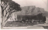 CAPE TOWN 15 BOTANICAL GARDENS TABLE MOUNTAIN (CARTE PHOTO) - Afrique Du Sud