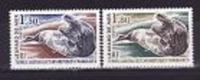 TAAF 1980 - Yv.no.89-90 Neufs** - Unused Stamps