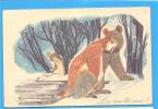 Bear, Ours. ROMANIA Postal Stationery Postcard 1966. - Ours