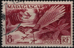 MADAGASCAR Poste 323 (o) Uratelornis Oiseau Bird - Usati