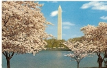 Carte Postale, Washington Dc, Washington Monument, Obélisque - Washington DC