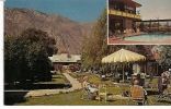 Carte Postale, Californie, Palm Spring, Annie And Dave Margolis', Pepper Tree Inn - Palm Springs