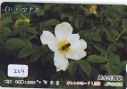 Carte Prépayée Japon  * ABEILLE * BIENE * BEE * BIJ * ABEJA (204) PREPAID CARD JAPAN * FLEUR - Bienen