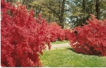 Carte Postale, Delaware, Wintertyhur Gardens Henry Francis Du Pont - Other & Unclassified